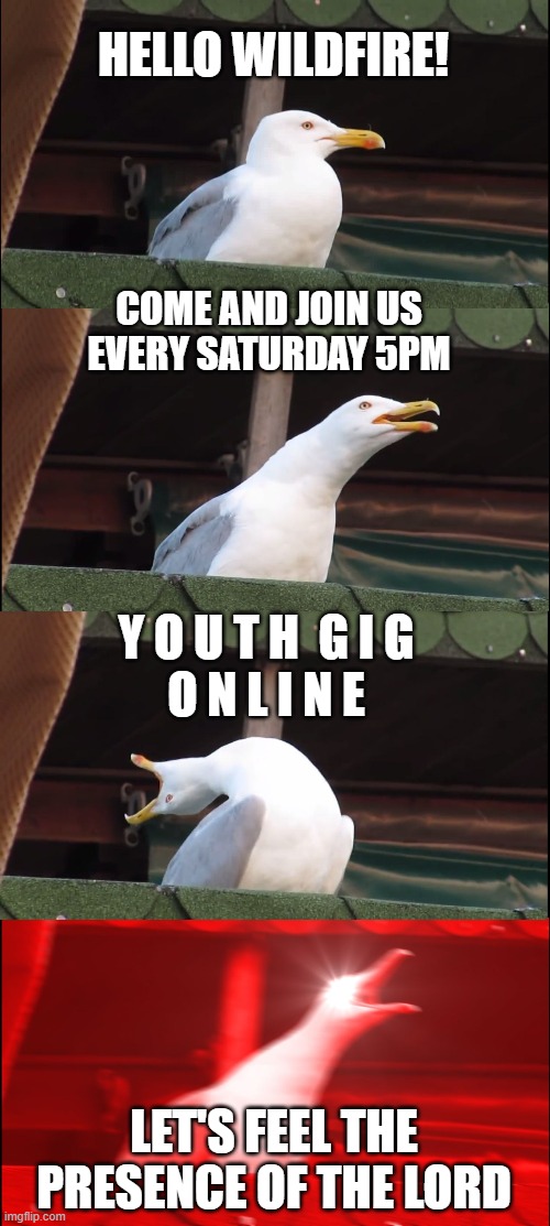 Inhaling Seagull | HELLO WILDFIRE! COME AND JOIN US
EVERY SATURDAY 5PM; Y O U T H  G I G
O N L I N E; LET'S FEEL THE PRESENCE OF THE LORD | image tagged in memes,inhaling seagull | made w/ Imgflip meme maker