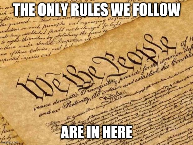 Constitution | THE ONLY RULES WE FOLLOW ARE IN HERE | image tagged in constitution | made w/ Imgflip meme maker