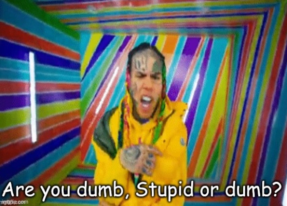 Are you dumb stupid or dumb? | image tagged in are you dumb stupid or dumb | made w/ Imgflip meme maker