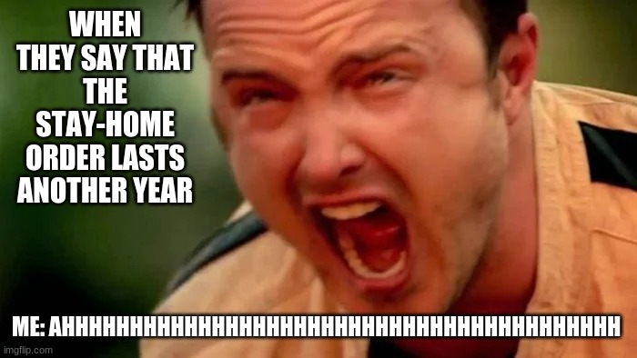 Stay Home Order | WHEN THEY SAY THAT THE STAY-HOME ORDER LASTS ANOTHER YEAR; ME: AHHHHHHHHHHHHHHHHHHHHHHHHHHHHHHHHHHHHHHHHH | image tagged in funny,covid19,quarantine | made w/ Imgflip meme maker