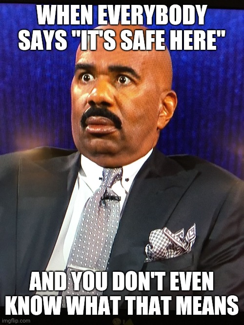 Steve Harvey WTF Face | WHEN EVERYBODY SAYS "IT'S SAFE HERE"; AND YOU DON'T EVEN KNOW WHAT THAT MEANS | image tagged in steve harvey wtf face | made w/ Imgflip meme maker