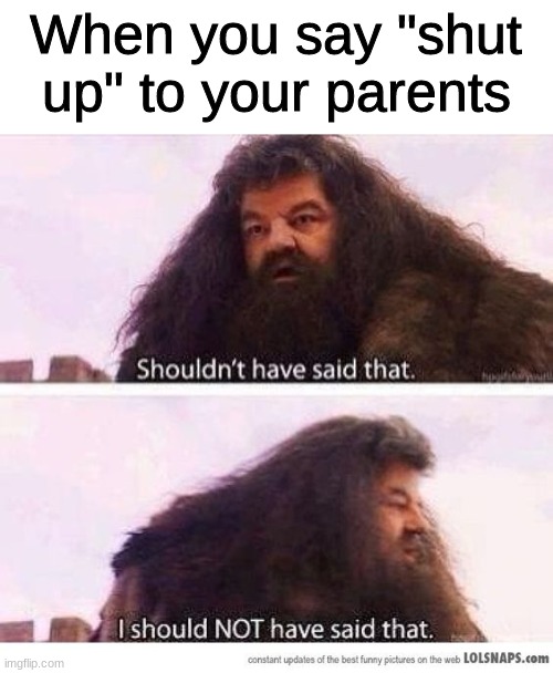 I did this once...grounded from electronics for the rest of the day | When you say "shut up" to your parents | image tagged in i shouldn't have said that | made w/ Imgflip meme maker