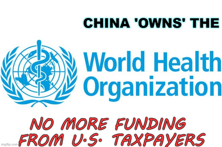 Defund WHO | CHINA 'OWNS' THE; NO MORE FUNDING 
FROM U.S. TAXPAYERS | image tagged in who,world health organization,taxpayers,coronavirus | made w/ Imgflip meme maker