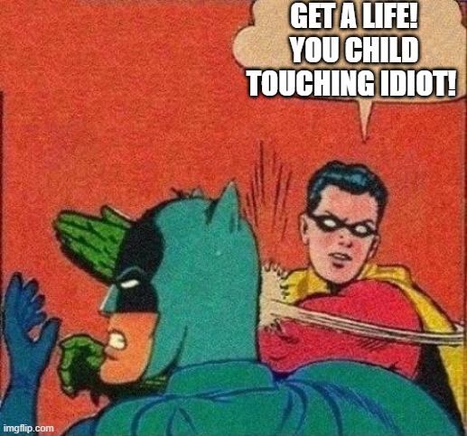 Robin Slaps Batman | GET A LIFE! YOU CHILD TOUCHING IDIOT! | image tagged in robin slaps batman | made w/ Imgflip meme maker