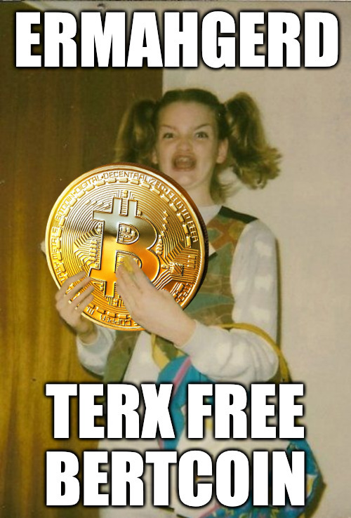 ermahgerd.tfbtc | image tagged in bitcoin,retirement,bitcoin and retirement,cryptocurrency | made w/ Imgflip meme maker