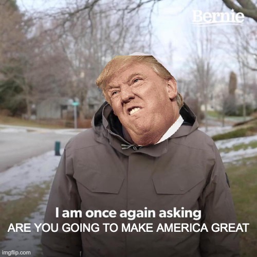 Bernie I Am Once Again Asking For Your Support | ARE YOU GOING TO MAKE AMERICA GREAT | image tagged in memes,bernie i am once again asking for your support | made w/ Imgflip meme maker