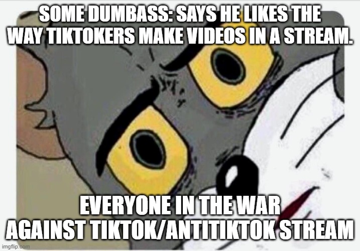 Truth |  SOME DUMBASS: SAYS HE LIKES THE WAY TIKTOKERS MAKE VIDEOS IN A STREAM. EVERYONE IN THE WAR AGAINST TIKTOK/ANTITIKTOK STREAM | image tagged in disturbed tom | made w/ Imgflip meme maker