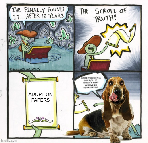 ur adopted | ADOPTION PAPERS | image tagged in adopted,adoption | made w/ Imgflip meme maker