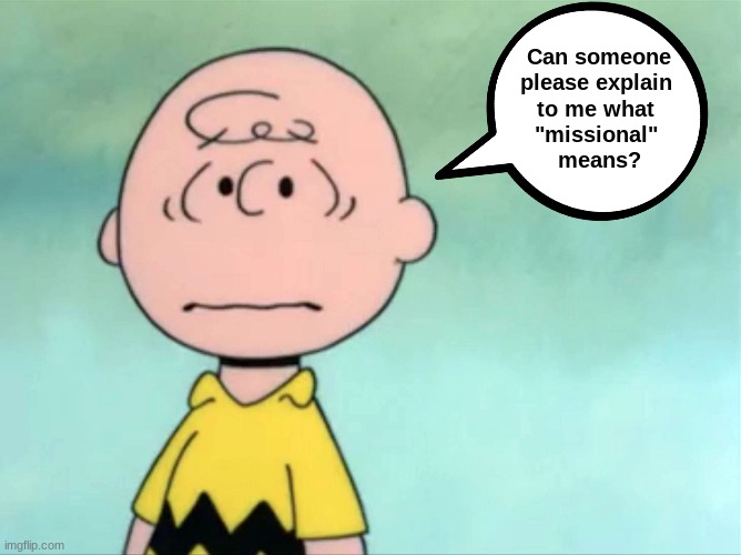 What does "missional" mean? | Can someone
please explain 
to me what 
"missional" 
means? | image tagged in missional,charlie brown | made w/ Imgflip meme maker