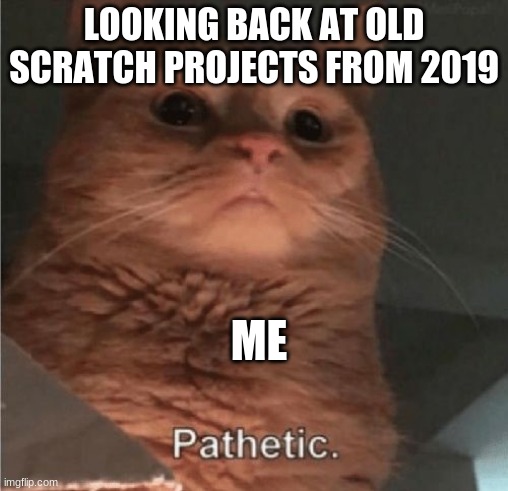 2019 me= dumb vs 2020 me=smort | LOOKING BACK AT OLD SCRATCH PROJECTS FROM 2019; ME | image tagged in pathetic cat | made w/ Imgflip meme maker