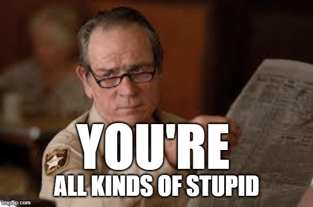 no country for old men tommy lee jones | YOU'RE ALL KINDS OF STUPID | image tagged in no country for old men tommy lee jones | made w/ Imgflip meme maker