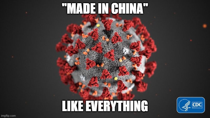 Covid 19 | "MADE IN CHINA"; LIKE EVERYTHING | image tagged in covid 19 | made w/ Imgflip meme maker