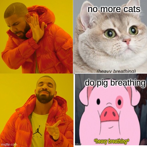 cats vs pigs | no more cats; do pig breathing | image tagged in funny | made w/ Imgflip meme maker
