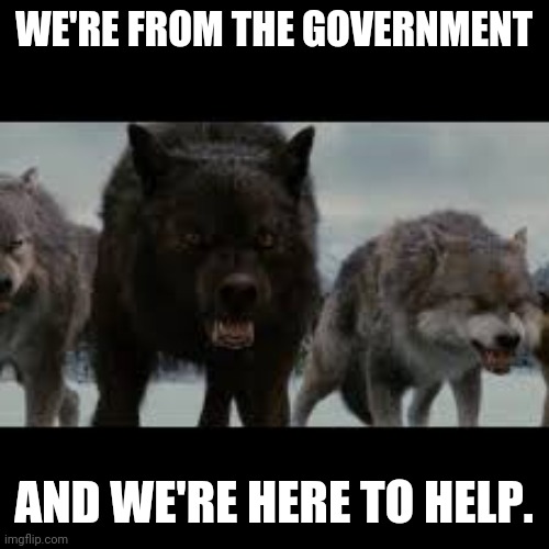 Here to help | WE'RE FROM THE GOVERNMENT; AND WE'RE HERE TO HELP. | image tagged in werewolf,sheep | made w/ Imgflip meme maker