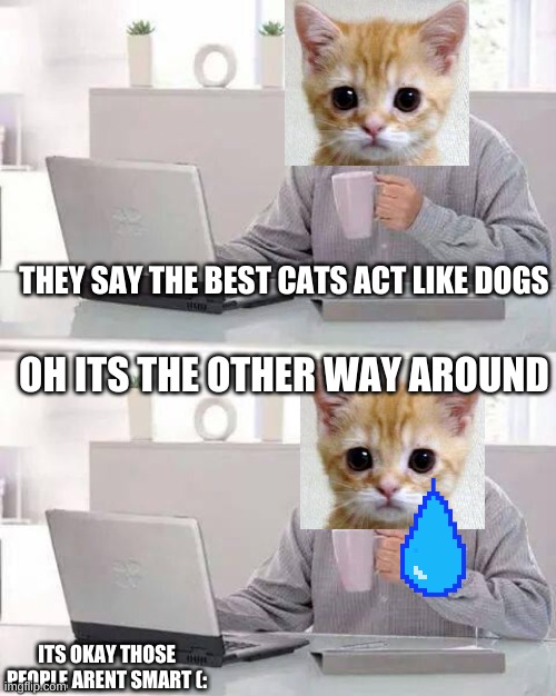 Hide the Pain Harold | THEY SAY THE BEST CATS ACT LIKE DOGS; OH ITS THE OTHER WAY AROUND; ITS OKAY THOSE PEOPLE ARENT SMART (: | image tagged in memes,hide the pain harold | made w/ Imgflip meme maker