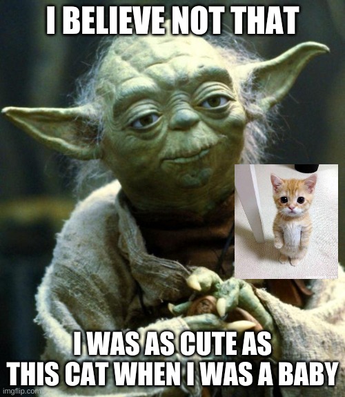 Star Wars Yoda Meme | I BELIEVE NOT THAT; I WAS AS CUTE AS THIS CAT WHEN I WAS A BABY | image tagged in memes,star wars yoda | made w/ Imgflip meme maker