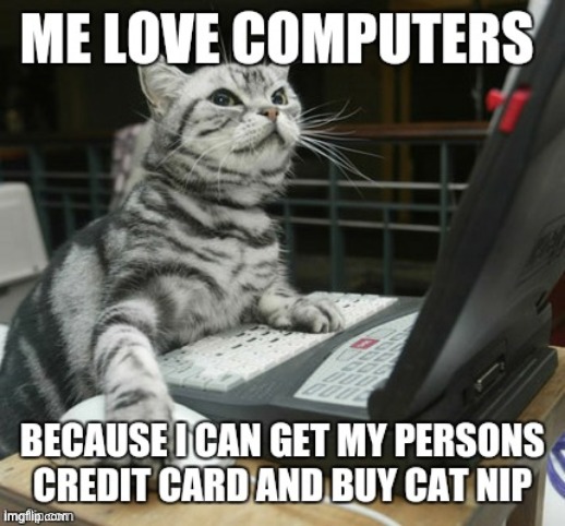 Cat meme | image tagged in cat,meme | made w/ Imgflip meme maker