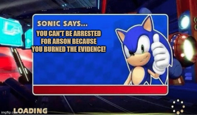 Good idea! | YOU CAN'T BE ARRESTED FOR ARSON BECAUSE YOU BURNED THE EVIDENCE! | image tagged in sonic says,arson,evidence,sonic the hedgehog | made w/ Imgflip meme maker