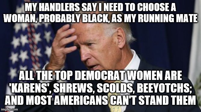 Joe Biden worries | MY HANDLERS SAY I NEED TO CHOOSE A WOMAN, PROBABLY BLACK, AS MY RUNNING MATE; ALL THE TOP DEMOCRAT WOMEN ARE 'KARENS', SHREWS, SCOLDS, BEEYOTCHS; AND MOST AMERICANS CAN'T STAND THEM | image tagged in joe biden worries | made w/ Imgflip meme maker