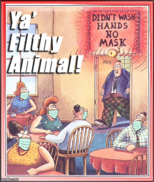 Wash Your Hands & Wear A Mask - Ya' Filthy Animal! | image tagged in wear a mask,wash your hands,ya' filthy animal | made w/ Imgflip meme maker