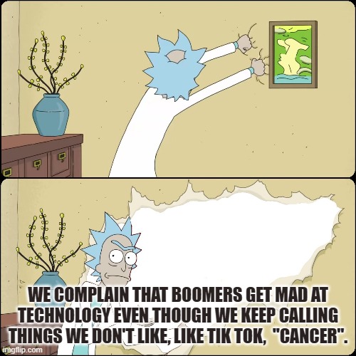 truth | WE COMPLAIN THAT BOOMERS GET MAD AT TECHNOLOGY EVEN THOUGH WE KEEP CALLING THINGS WE DON'T LIKE, LIKE TIK TOK,  "CANCER". | image tagged in rick wall | made w/ Imgflip meme maker