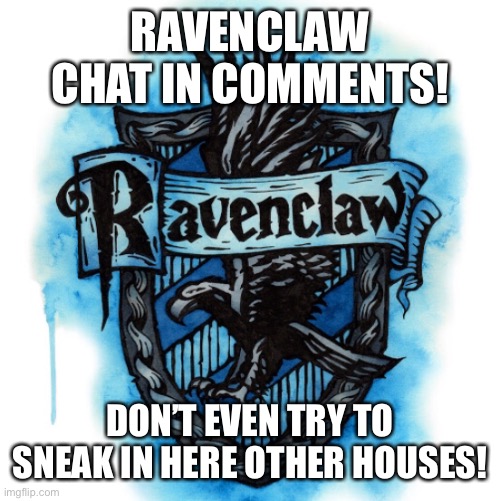 RAVENCLAW CHAT IN COMMENTS! DON’T EVEN TRY TO SNEAK IN HERE OTHER HOUSES! | made w/ Imgflip meme maker