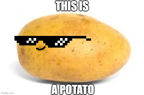 Potato | THIS IS; A POTATO | image tagged in potato | made w/ Imgflip meme maker