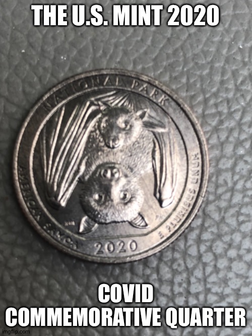 COVID Quarter | THE U.S. MINT 2020; COVID COMMEMORATIVE QUARTER | image tagged in covid-19 | made w/ Imgflip meme maker