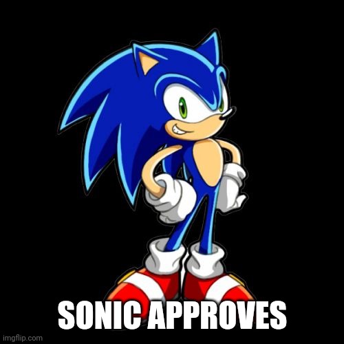 You're Too Slow Sonic Meme | SONIC APPROVES | image tagged in memes,you're too slow sonic | made w/ Imgflip meme maker