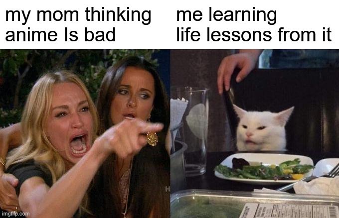 Woman Yelling At Cat Meme | my mom thinking anime Is bad; me learning life lessons from it | image tagged in memes,woman yelling at cat | made w/ Imgflip meme maker
