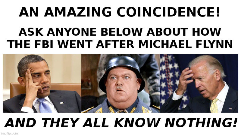 An Amazing Coincidence! | image tagged in obama,schultz,biden,fbi,corruption,michael flynn | made w/ Imgflip meme maker