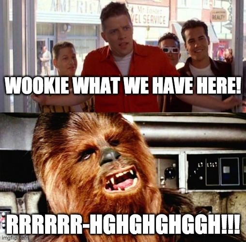 Star wars | WOOKIE WHAT WE HAVE HERE! RRRRRR-HGHGHGHGGH!!! | image tagged in funny memes,back to the future,star wars | made w/ Imgflip meme maker