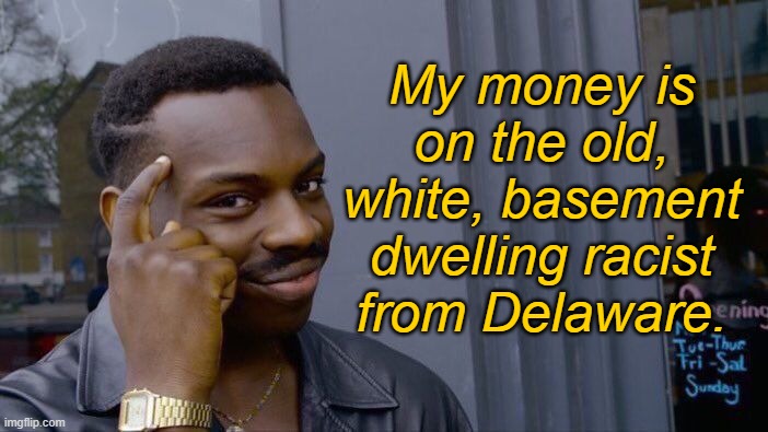 Roll Safe Think About It Meme | My money is on the old, white, basement dwelling racist from Delaware. | image tagged in memes,roll safe think about it | made w/ Imgflip meme maker