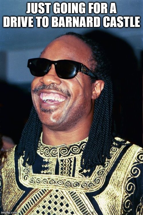 stevie wonder | JUST GOING FOR A DRIVE TO BARNARD CASTLE | image tagged in funny | made w/ Imgflip meme maker