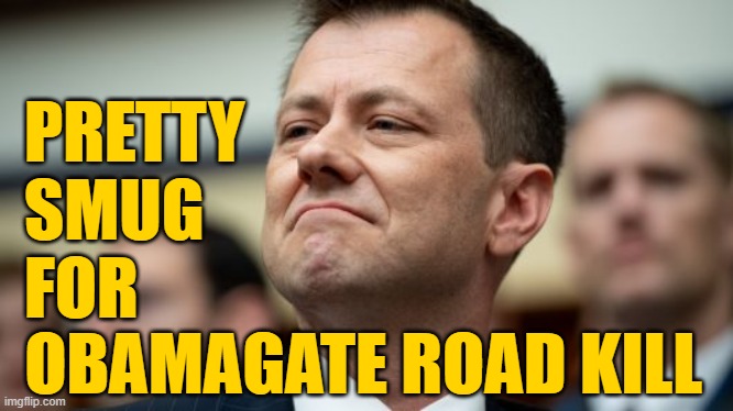 See you in Leavenworth, dipstick. | PRETTY
SMUG
FOR; OBAMAGATE ROAD KILL | image tagged in peter strzok | made w/ Imgflip meme maker