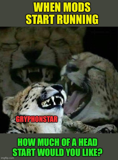 Gonna catch ‘em all | WHEN MODS START RUNNING; GRYPHONSTAR; HOW MUCH OF A HEAD START WOULD YOU LIKE? | image tagged in cheetah,mods,memes,funny | made w/ Imgflip meme maker