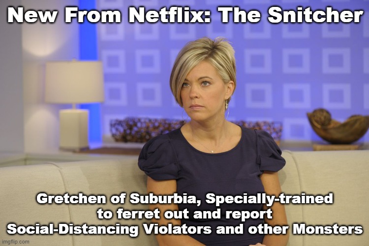 The Snitcher | New From Netflix: The Snitcher; Gretchen of Suburbia, Specially-trained to ferret out and report Social-Distancing Violators and other Monsters | image tagged in the snitcher,gretchen,stay home | made w/ Imgflip meme maker