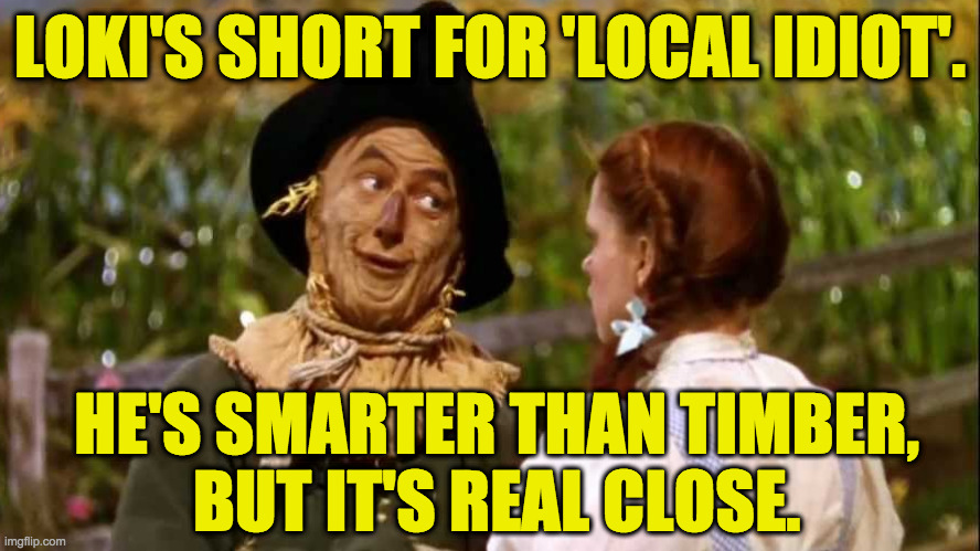 LOKI'S SHORT FOR 'LOCAL IDIOT'. HE'S SMARTER THAN TIMBER,
BUT IT'S REAL CLOSE. | made w/ Imgflip meme maker