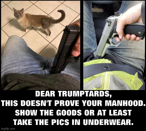 point a gun at your dick to own the libtards | image tagged in trumptards,libtards,gun rights,guns,dicks,pistol | made w/ Imgflip meme maker