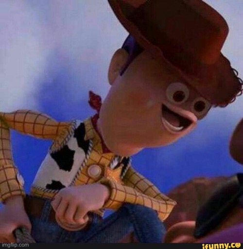 Derp Woody | image tagged in derp woody | made w/ Imgflip meme maker