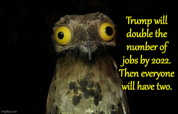 Just Vote Joe. | Trump will
double the
number of
jobs by 2022.
Then everyone
will have two. | image tagged in memes,weird stuff i do potoo,don jobs,just vote joe | made w/ Imgflip meme maker