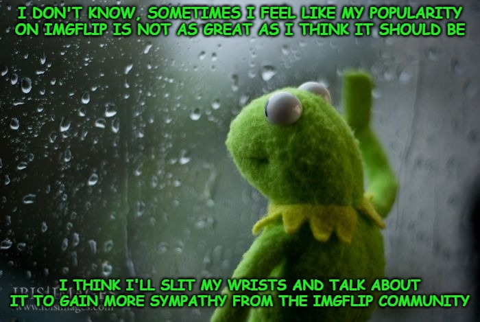 Whatever happened to the old Imgflip community where we joked and had fun commenting on good memes? | I DON'T KNOW, SOMETIMES I FEEL LIKE MY POPULARITY ON IMGFLIP IS NOT AS GREAT AS I THINK IT SHOULD BE; I THINK I'LL SLIT MY WRISTS AND TALK ABOUT IT TO GAIN MORE SYMPATHY FROM THE IMGFLIP COMMUNITY | image tagged in kermit window,emo,kids these days | made w/ Imgflip meme maker