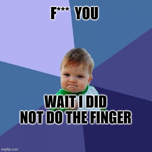 Success Kid | F***  YOU; WAIT I DID NOT DO THE FINGER | image tagged in memes,success kid | made w/ Imgflip meme maker