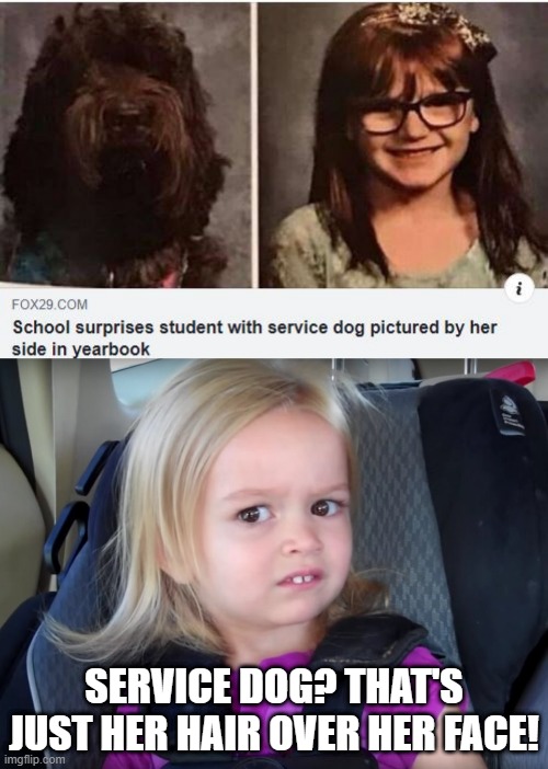 Yearbook Pic Fail? | SERVICE DOG? THAT'S JUST HER HAIR OVER HER FACE! | image tagged in huh | made w/ Imgflip meme maker