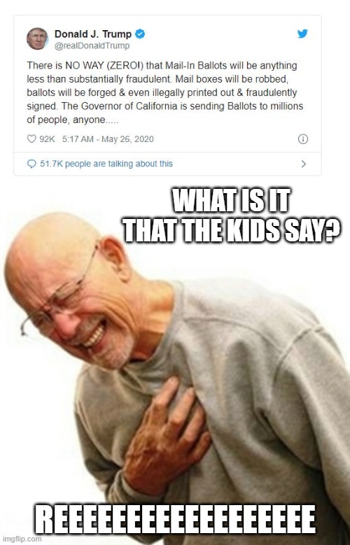 Anything to keep the topic off Covid-19 | WHAT IS IT THAT THE KIDS SAY? REEEEEEEEEEEEEEEEEE | image tagged in memes,coronavirus,donald trump is an idiot,corruption | made w/ Imgflip meme maker