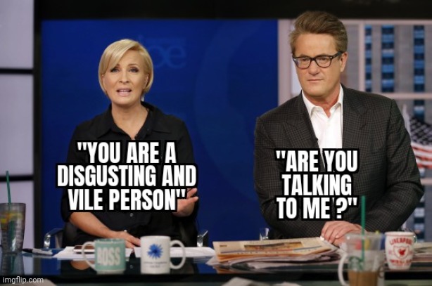 PROJECTION | image tagged in morning joe,mika brzezinski,msnbc | made w/ Imgflip meme maker