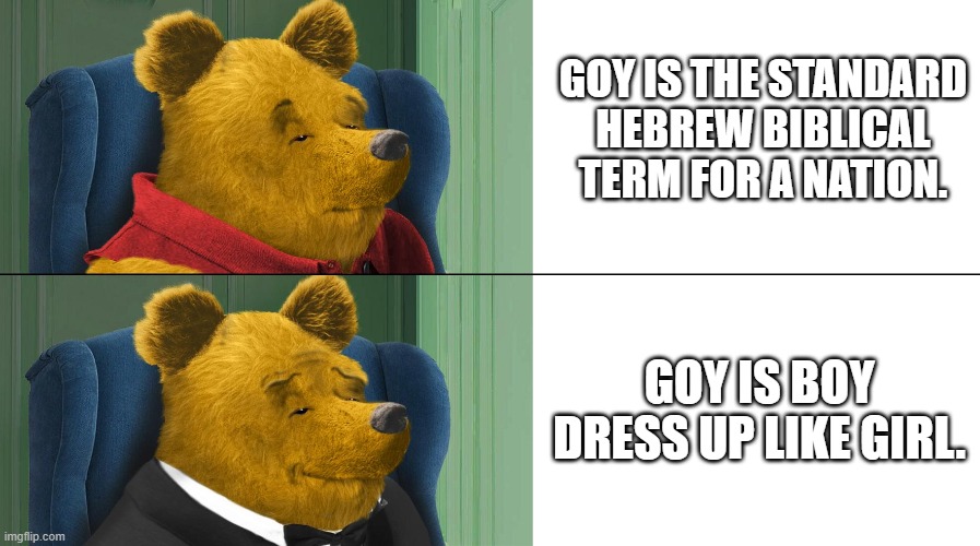 Winnie the Pooh Goy | GOY IS THE STANDARD HEBREW BIBLICAL TERM FOR A NATION. GOY IS BOY DRESS UP LIKE GIRL. | image tagged in tuxedo winnie the pooh ultra hd,goy,crossdressing,memes | made w/ Imgflip meme maker
