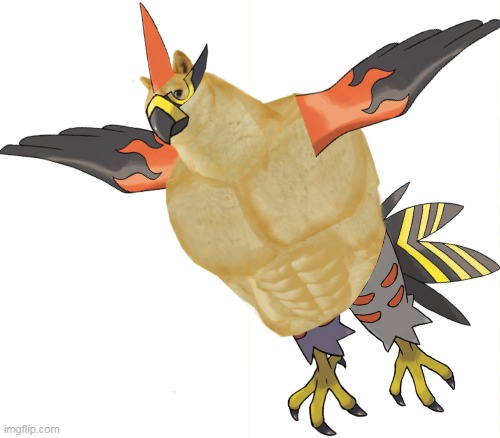 "Regional Bird of Kalos" | image tagged in pokemon,funny pokemon,pokemon memes,pokemon logic,pokemon x and y,doge | made w/ Imgflip meme maker