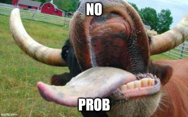 cow tongue | NO PROB | image tagged in cow tongue | made w/ Imgflip meme maker