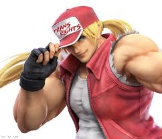 I found this when I searched up Terry Bogard on Google | image tagged in terry bogard,terry,fatal fury,trans rights,memes | made w/ Imgflip meme maker
